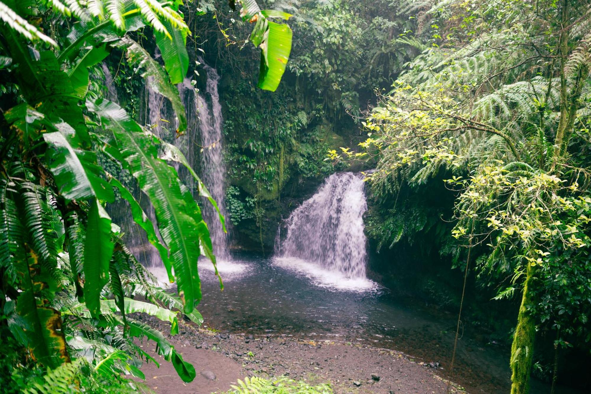 Santya Loka Lodge & Twin Waterfall Jatiluwih Ngoại thất bức ảnh