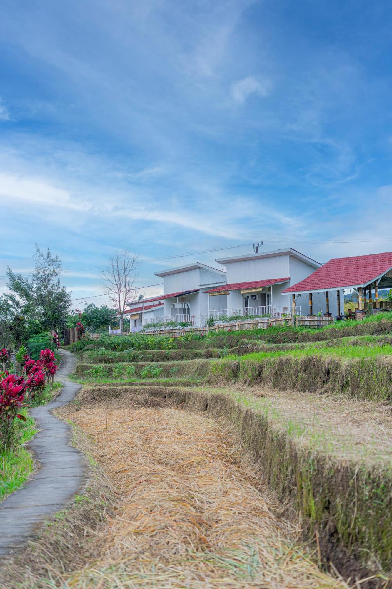 Santya Loka Lodge & Twin Waterfall Jatiluwih Ngoại thất bức ảnh