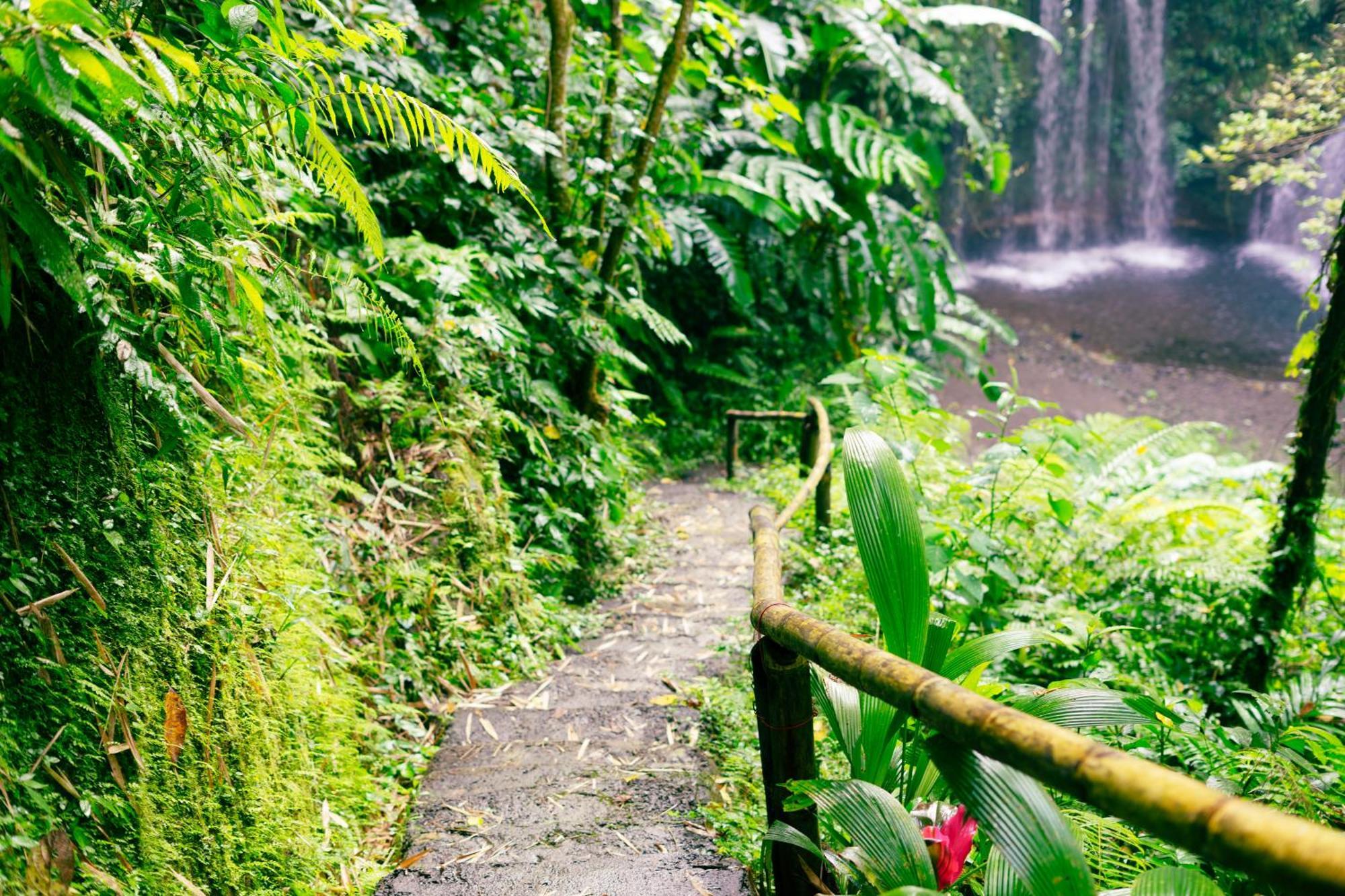 Santya Loka Lodge & Twin Waterfall Jatiluwih Ngoại thất bức ảnh