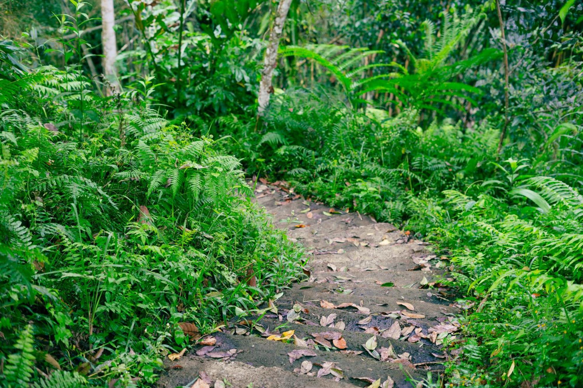 Santya Loka Lodge & Twin Waterfall Jatiluwih Ngoại thất bức ảnh