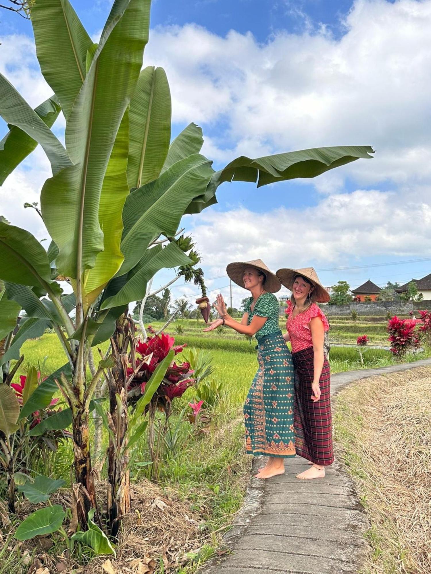 Santya Loka Lodge & Twin Waterfall Jatiluwih Ngoại thất bức ảnh