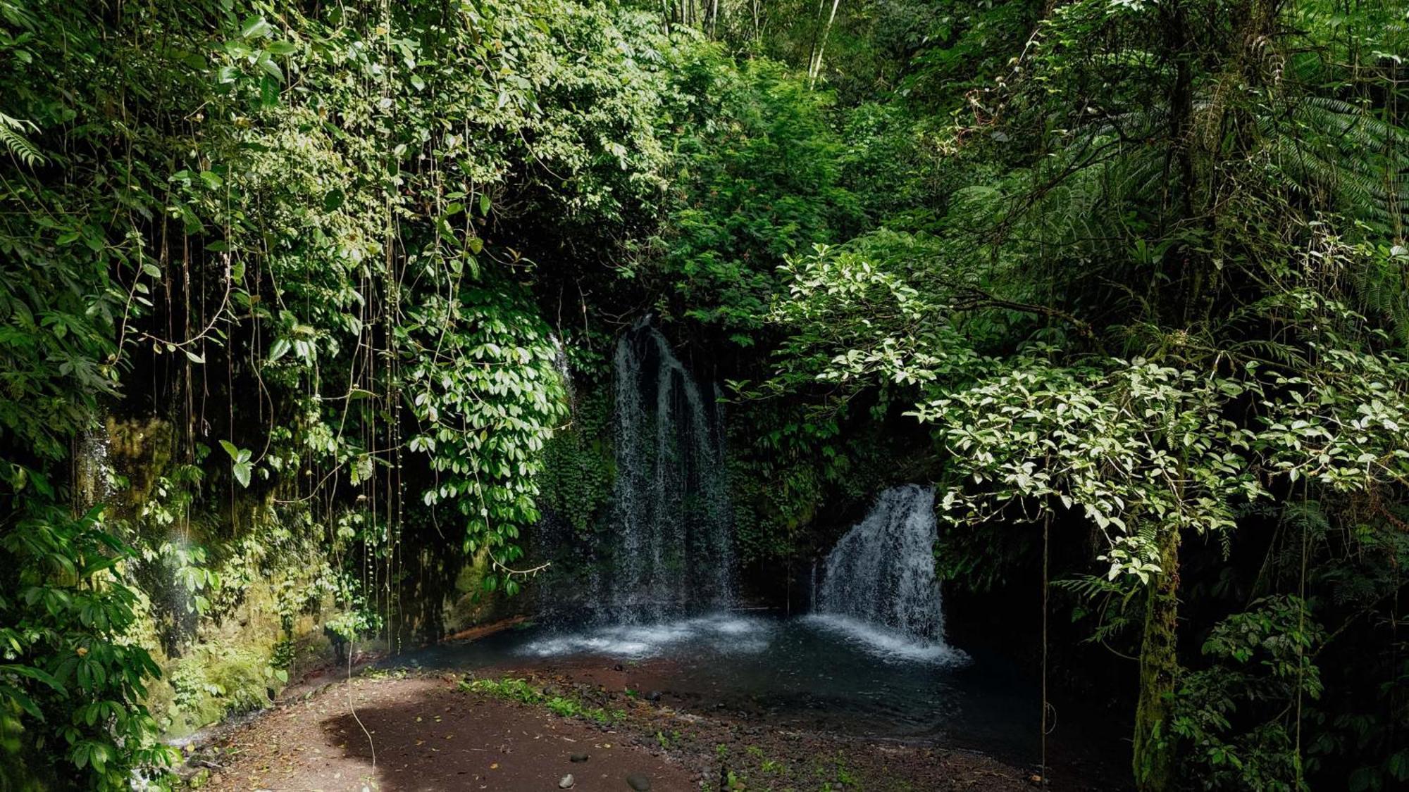 Santya Loka Lodge & Twin Waterfall Jatiluwih Ngoại thất bức ảnh