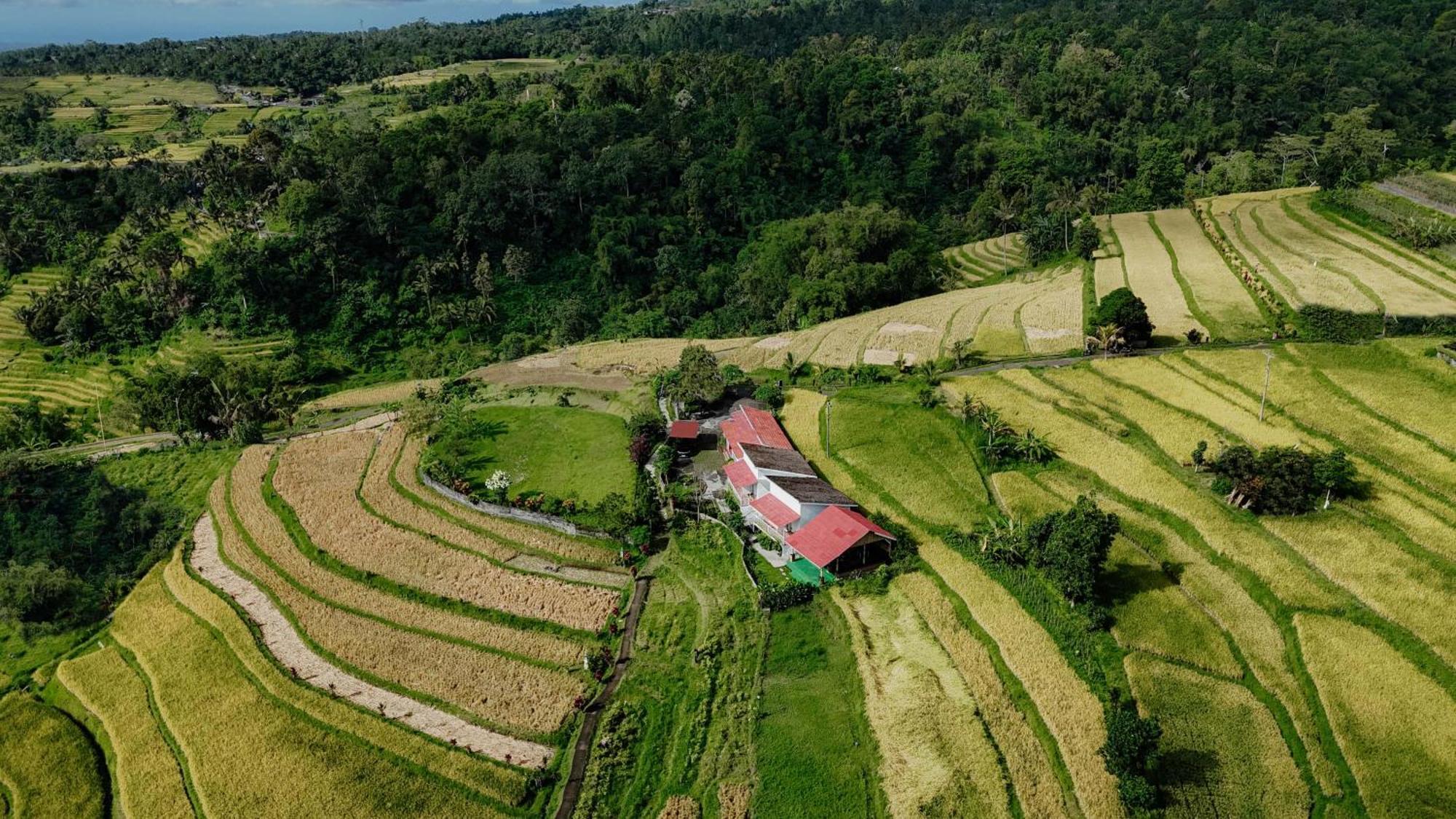 Santya Loka Lodge & Twin Waterfall Jatiluwih Ngoại thất bức ảnh