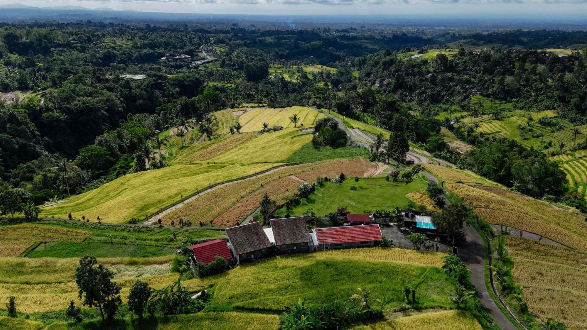 Santya Loka Lodge & Twin Waterfall Jatiluwih Ngoại thất bức ảnh