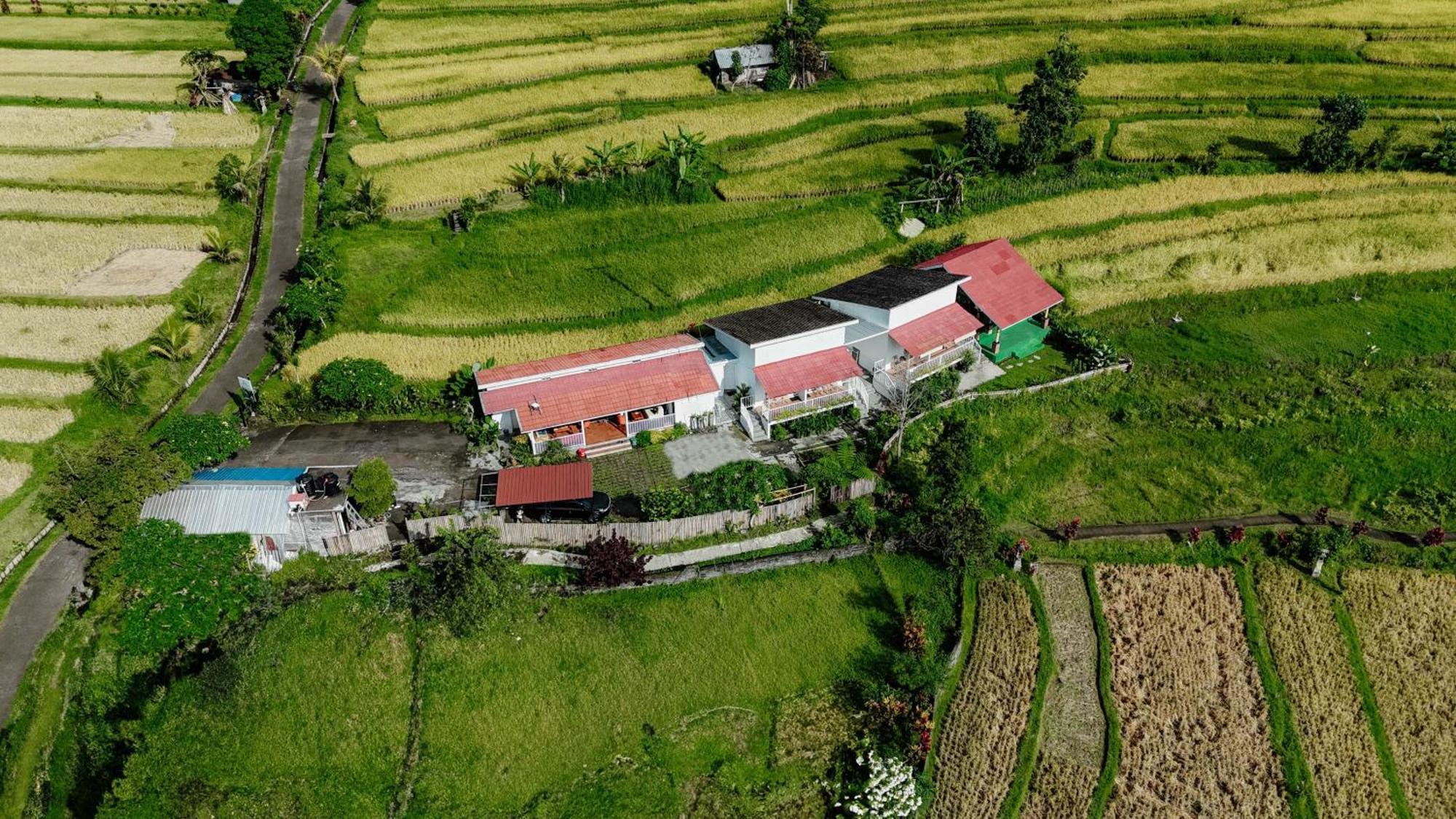Santya Loka Lodge & Twin Waterfall Jatiluwih Ngoại thất bức ảnh
