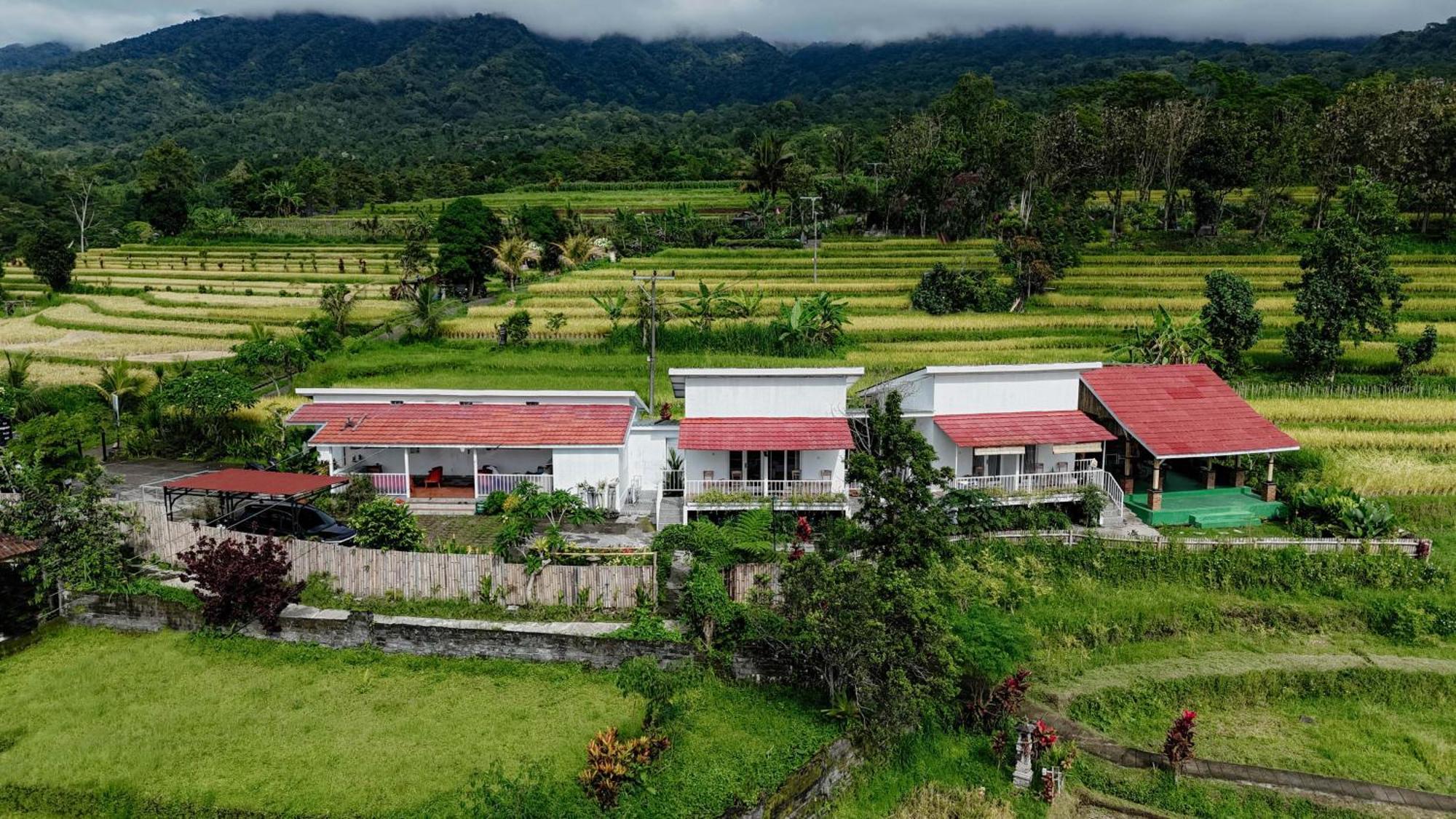 Santya Loka Lodge & Twin Waterfall Jatiluwih Ngoại thất bức ảnh