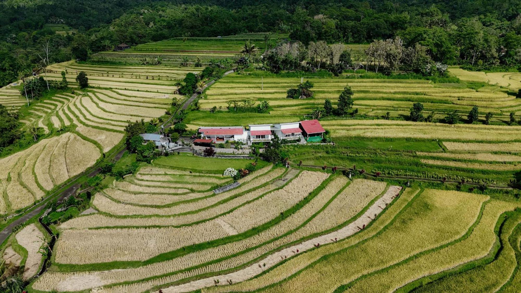 Santya Loka Lodge & Twin Waterfall Jatiluwih Ngoại thất bức ảnh